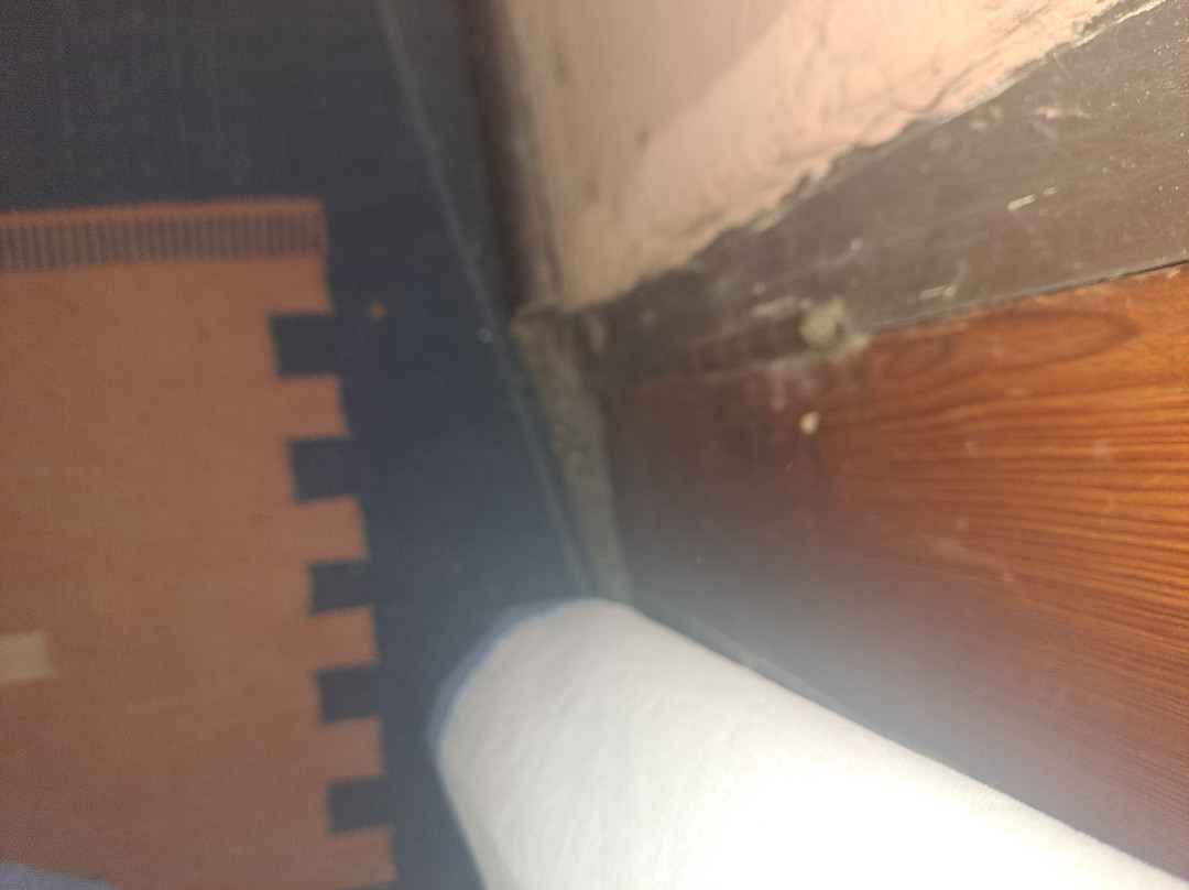 Barberton Mountain Lodge主图