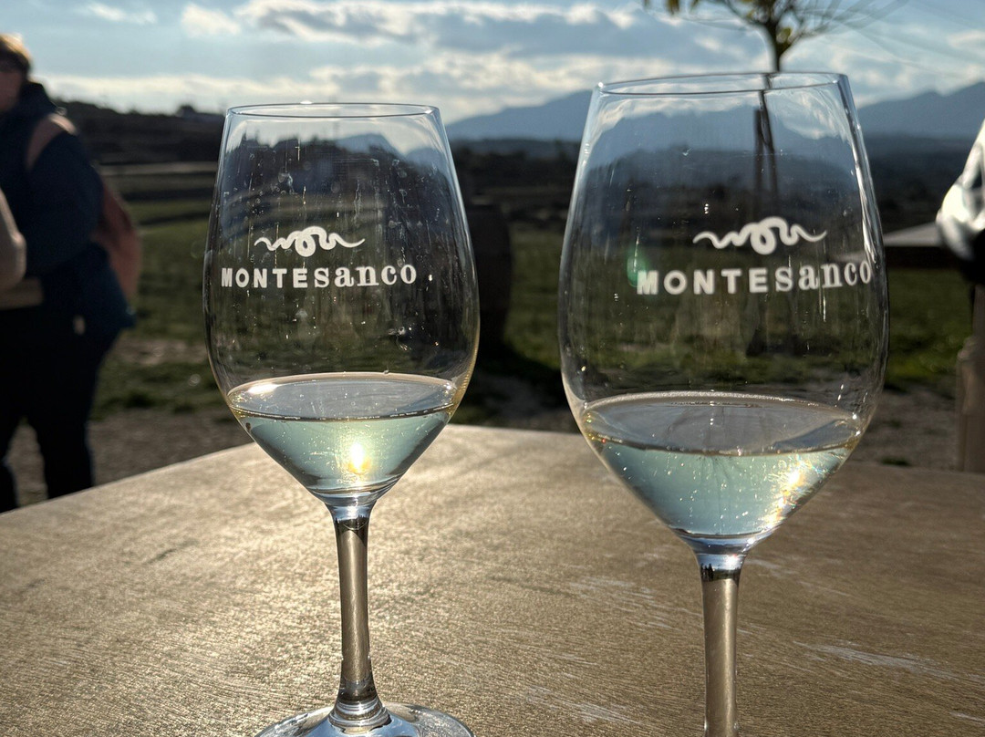 Bodega Montesanco Teulada-Teulada必去景点