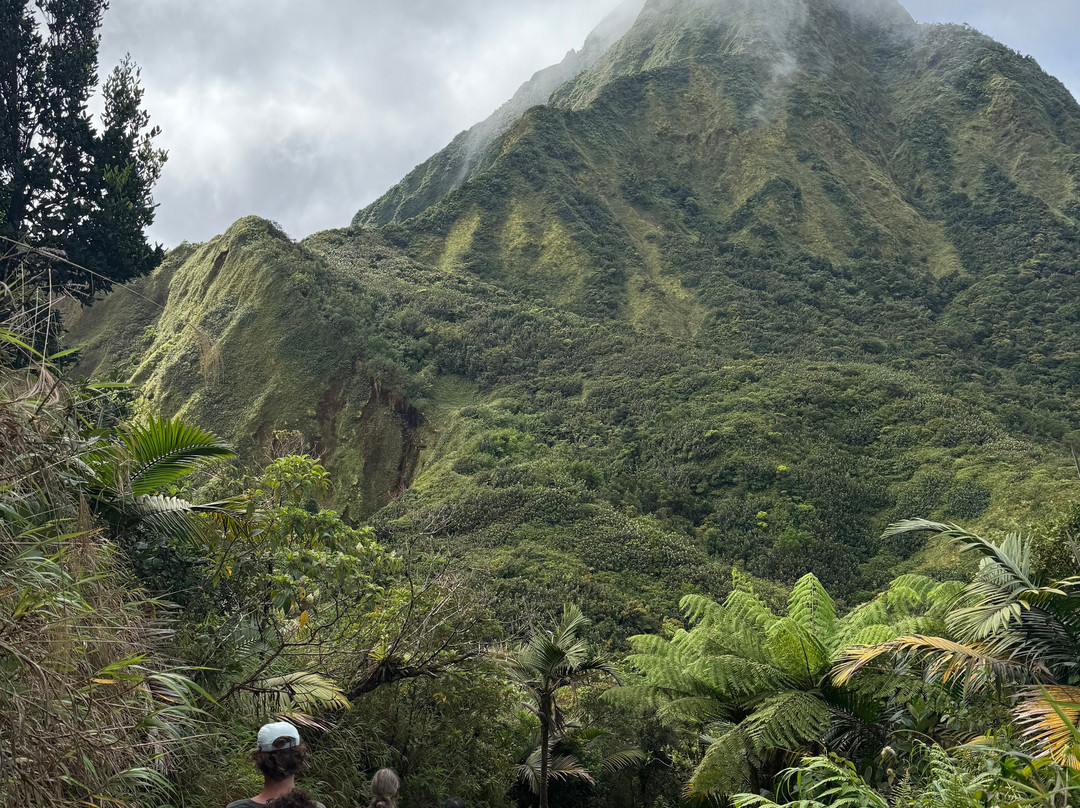 My Island Adventures with Chadi Symes-罗索必去景点