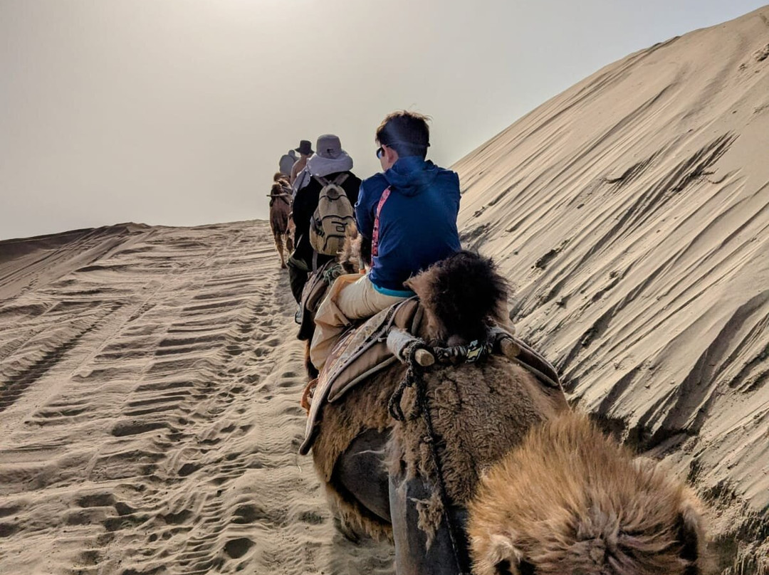 China Discovery-成都必去景点