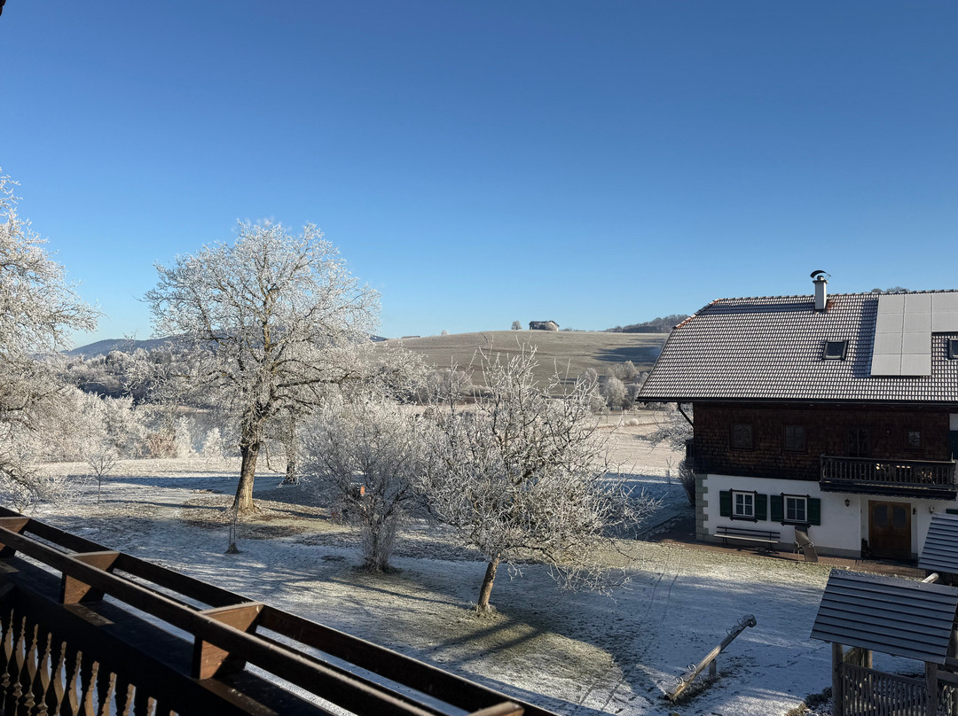 Ederbauer am Irrsee主图