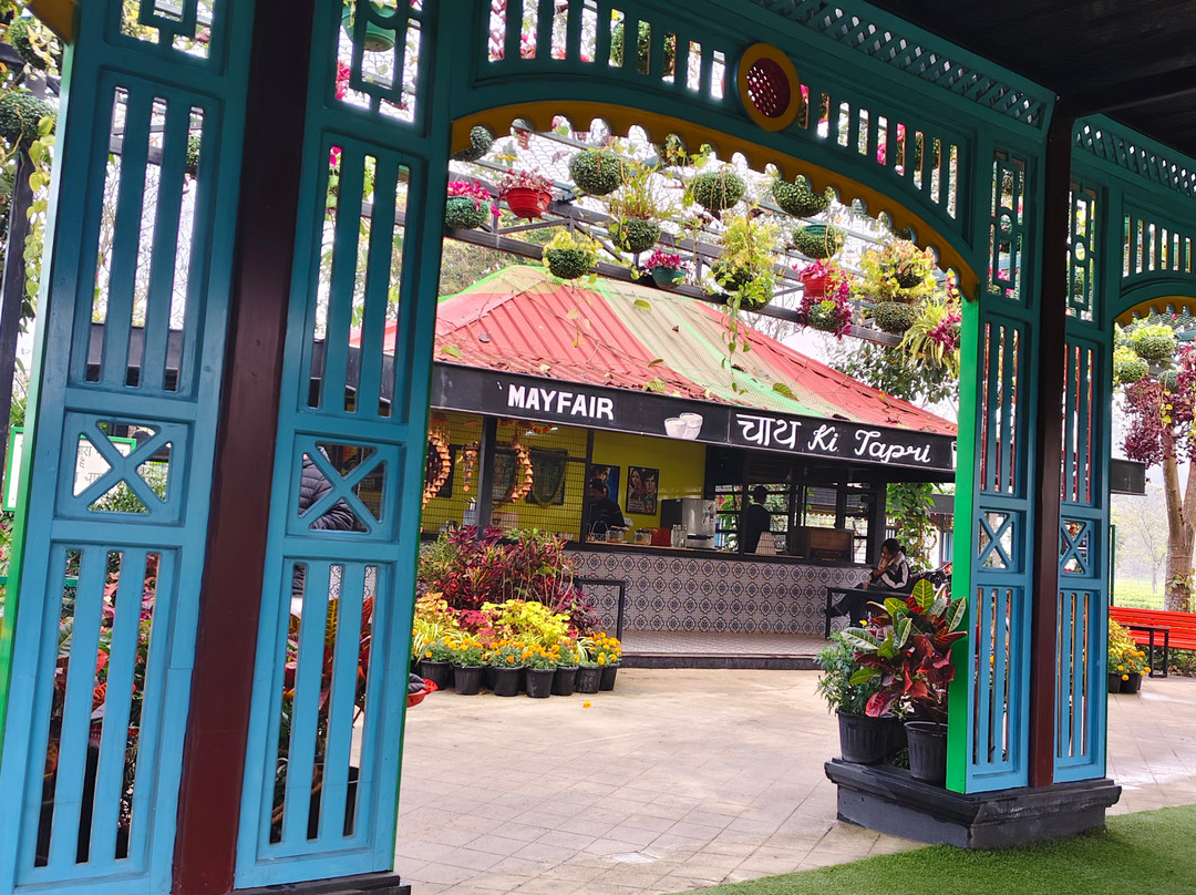 MAYFAIR Tea Resort主图