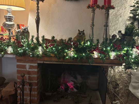 Residenza Storica Le Civette主图