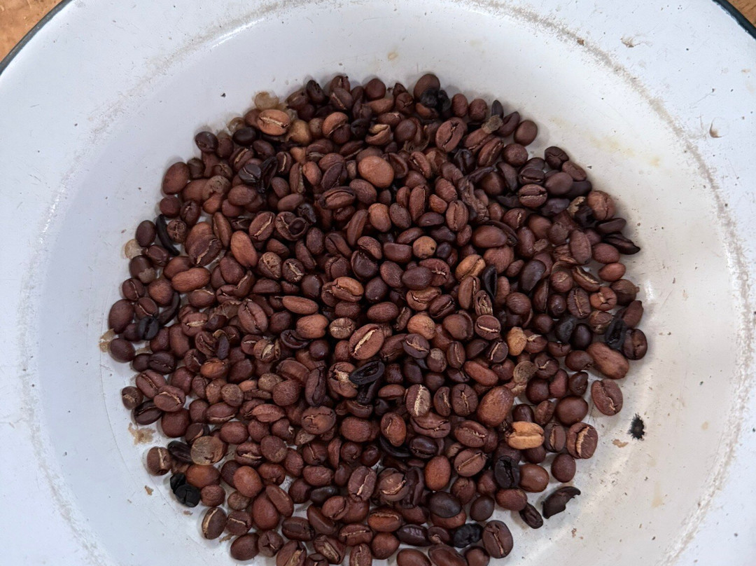 Las Acacias Coffee Farm-萨伦托必去景点