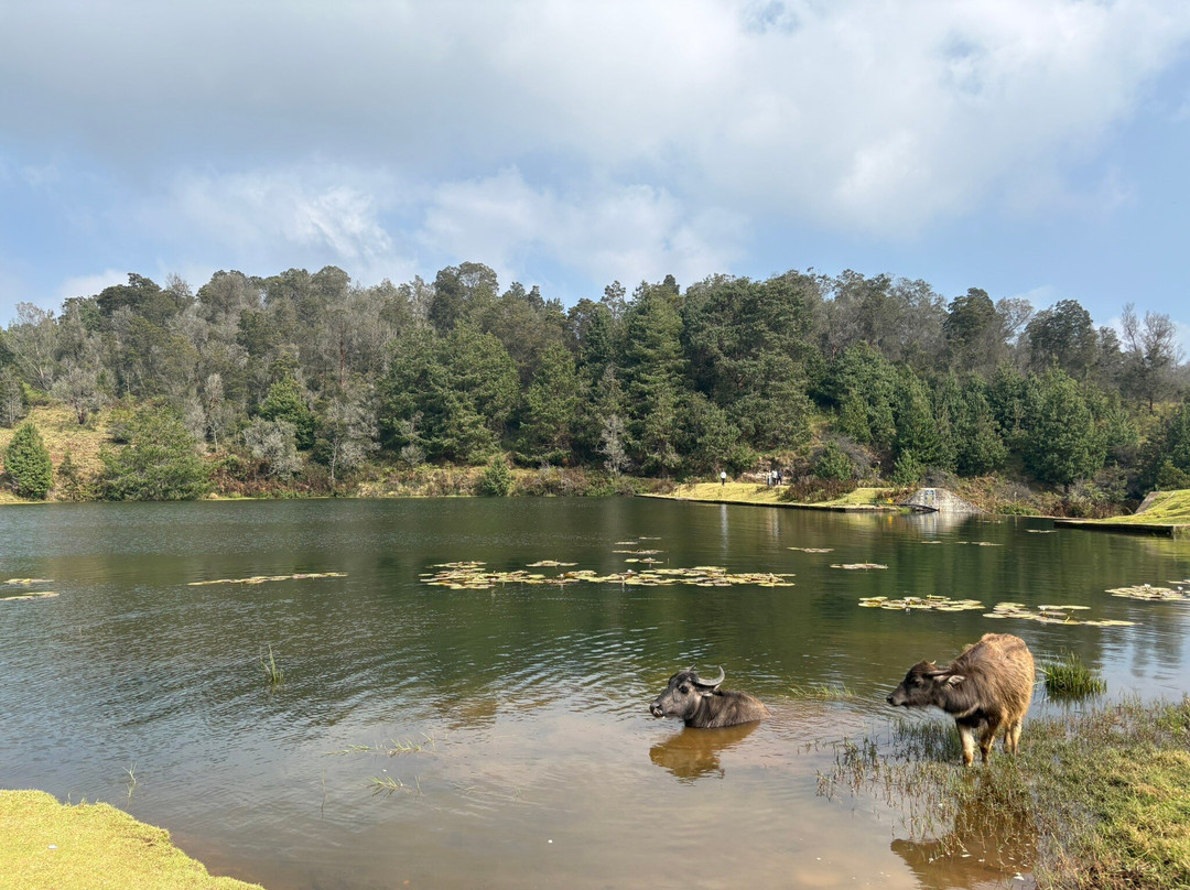 Mannavanur Lake-科代卡纳尔必去景点