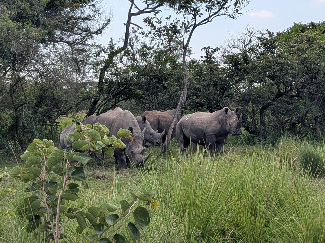 Uganda Family Tours & Travel-Fort Portal必去景点