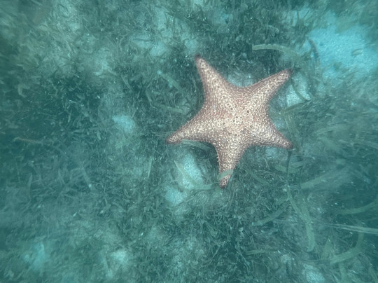 Tropical Boat Guadeloupe-Port-Louis必去景点