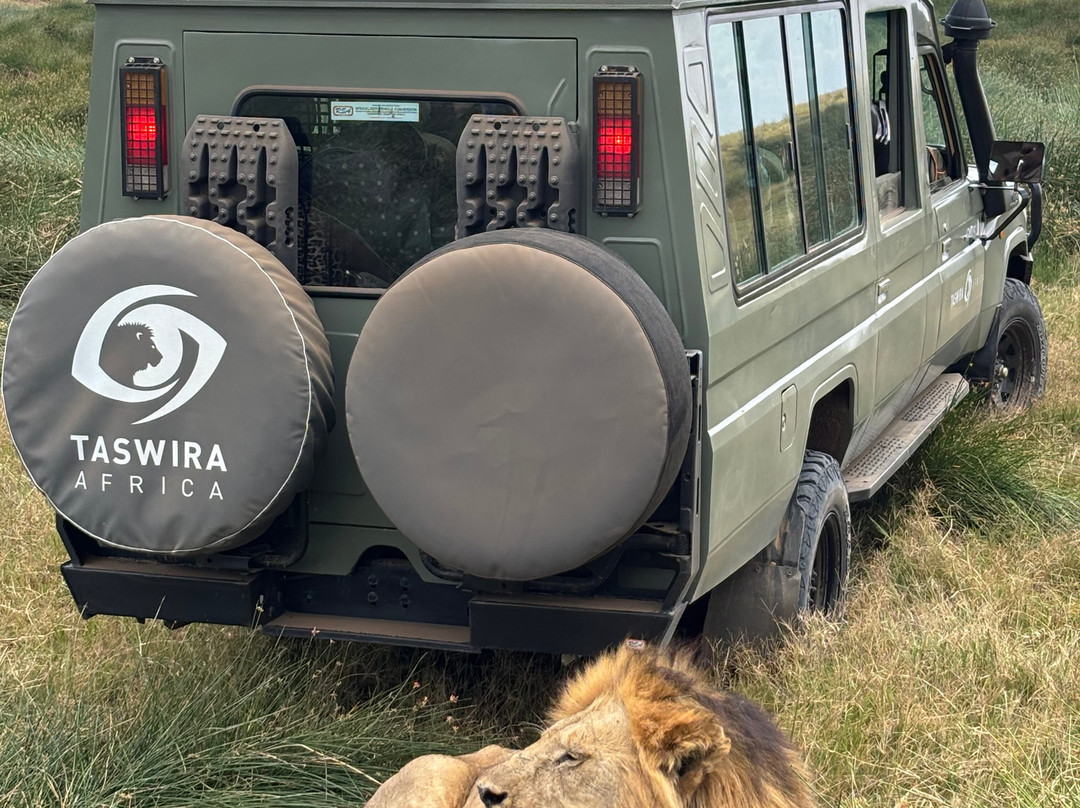 Taswira Africa Safaris-阿鲁沙必去景点