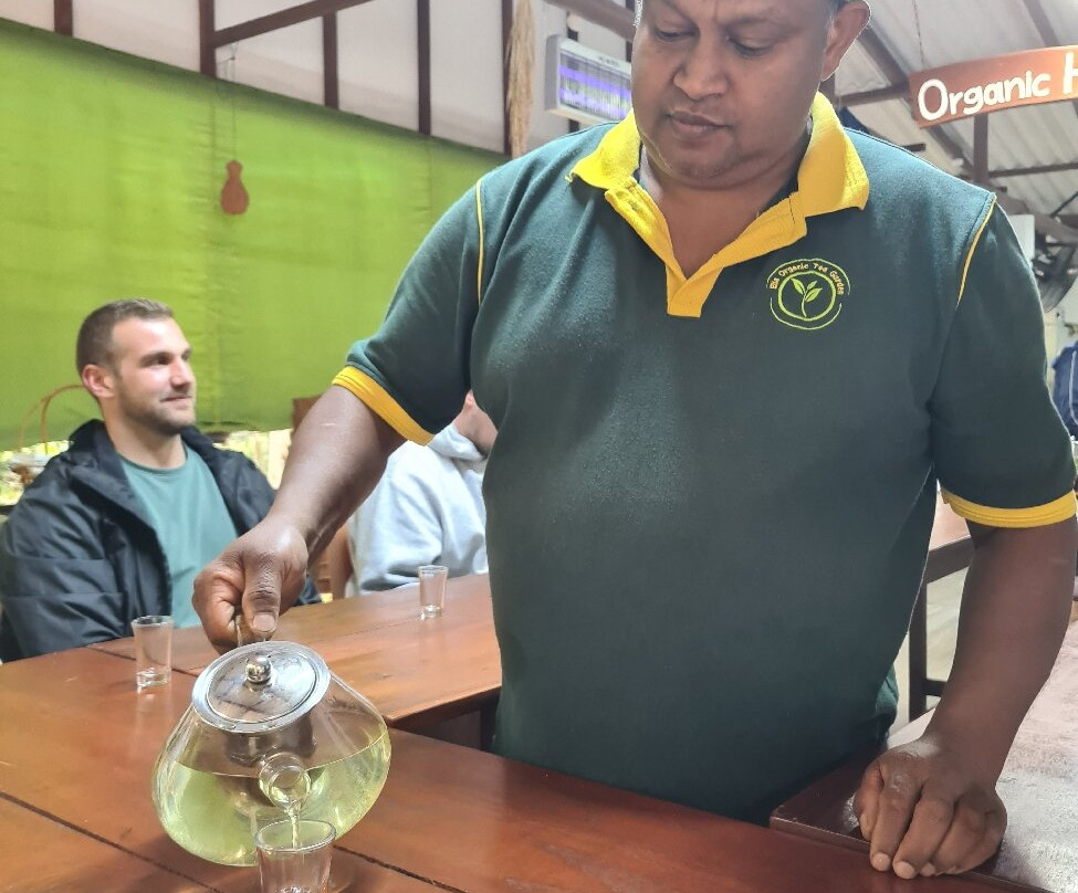 Ella Organic Tea Garden-Heeloya必去景点