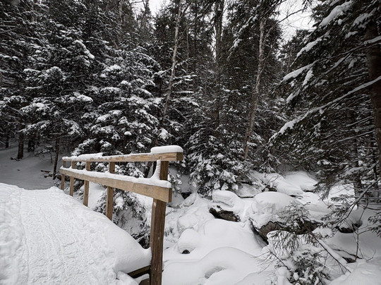 Adventure Untamed-纽约市必去景点