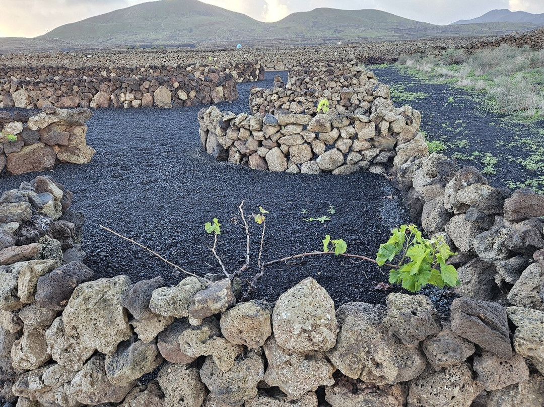 Caldera Blanca-兰萨罗特必去景点