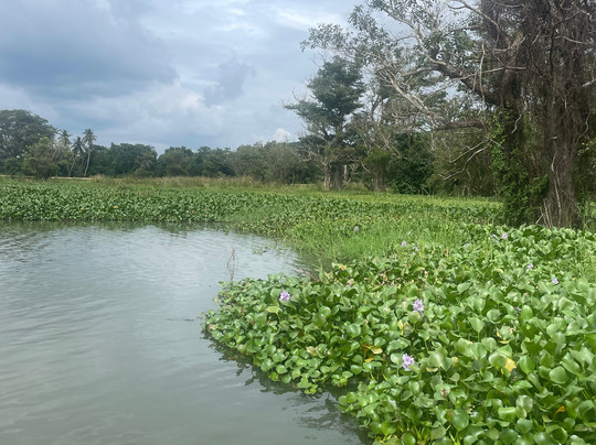 Sri Lanka With Kavi-锡吉里亚必去景点
