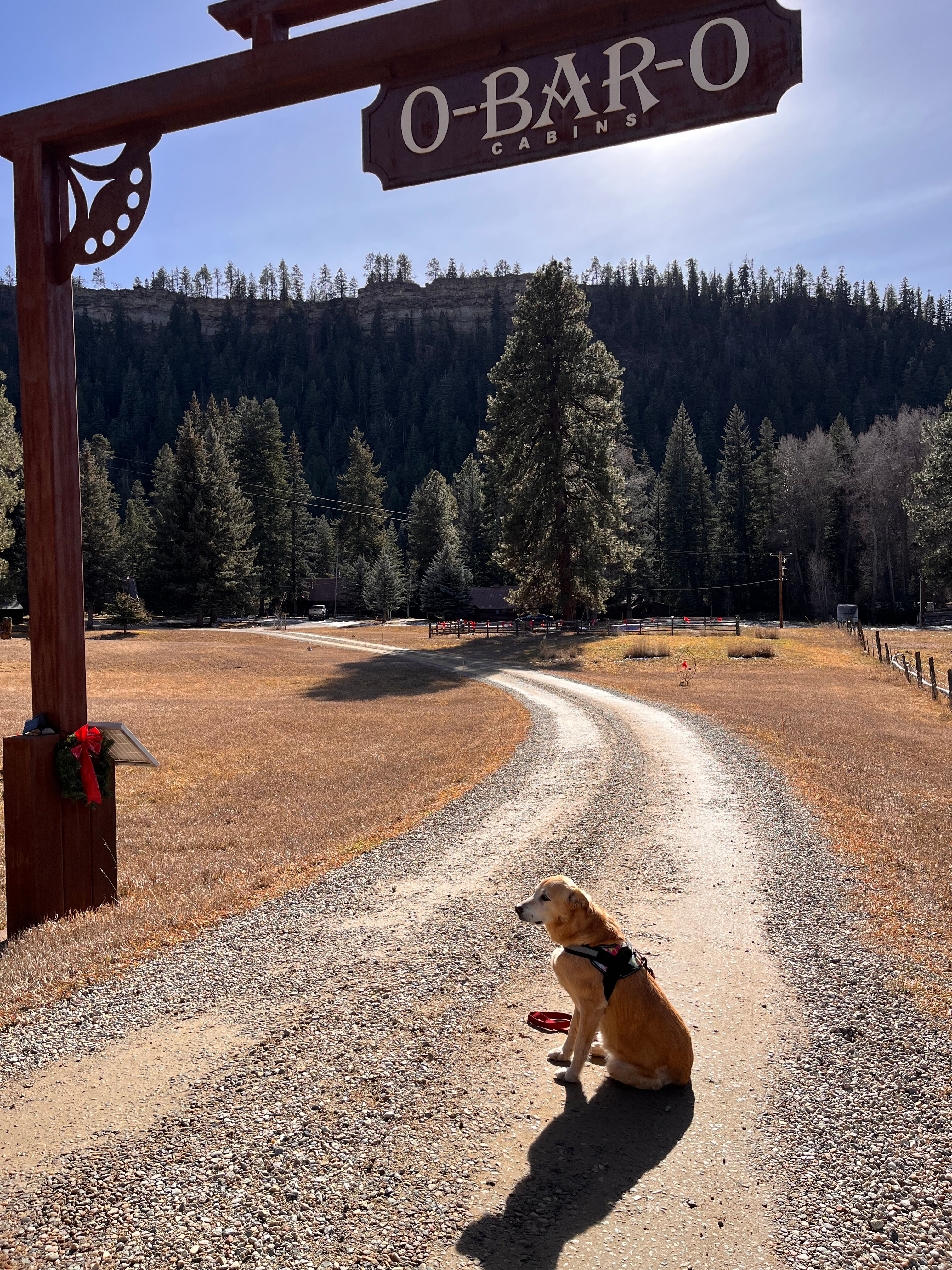 O-Bar-O Cabins-浴室