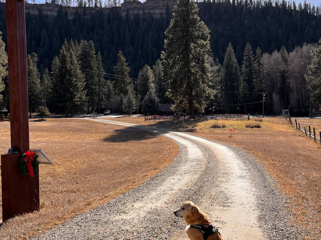 O-Bar-O Cabins主图