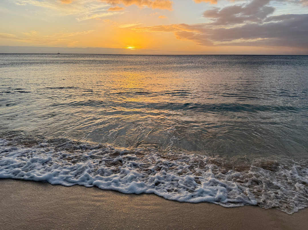 Nanakuli Beach Park-怀厄奈必去景点