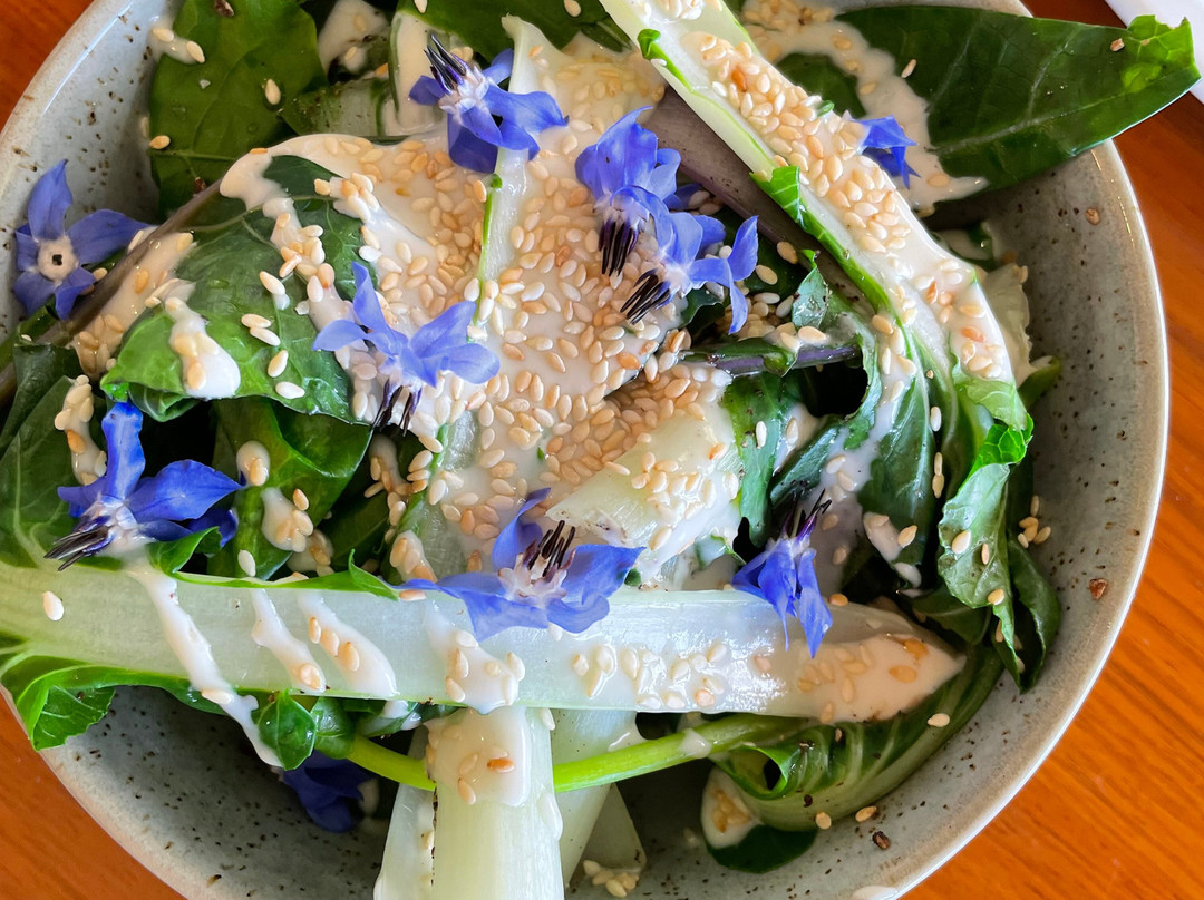 Milton Vineyard-斯旺西必去景点