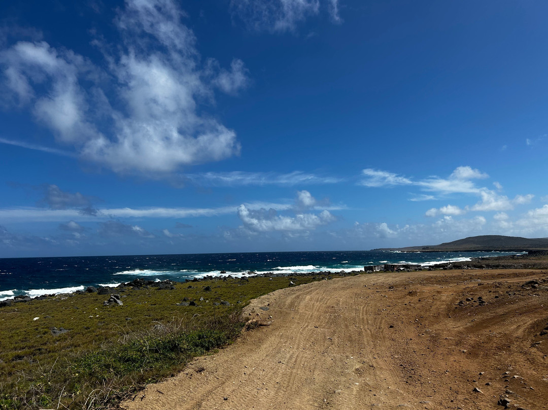 RockaBeach Tours-奥腊涅斯塔德必去景点