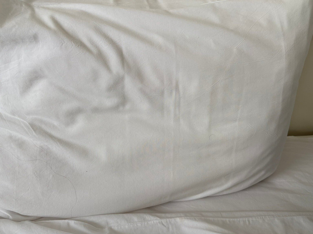 Asr-ı A'lâ Yalova Thermal主图