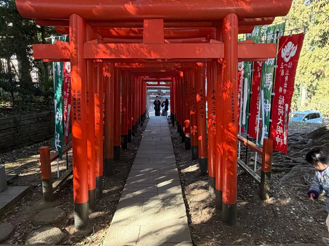 Osugi Shrine-稲敷市必去景点