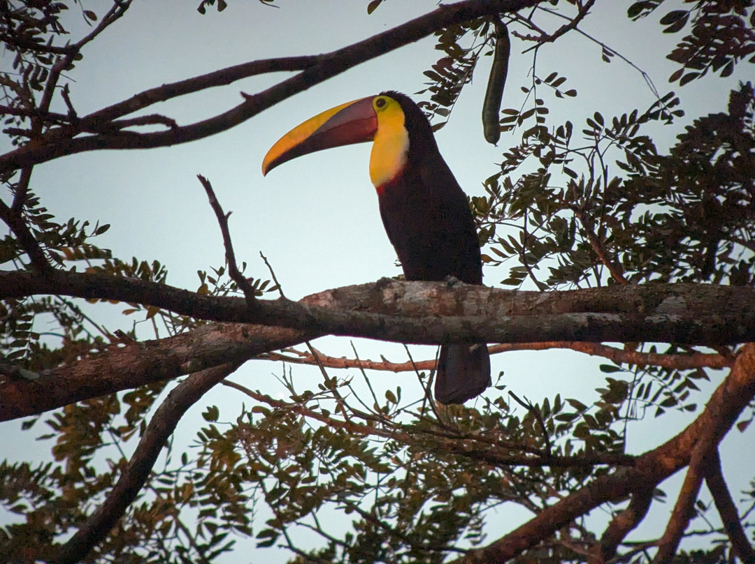 Costa Rica Focus-圣何塞必去景点