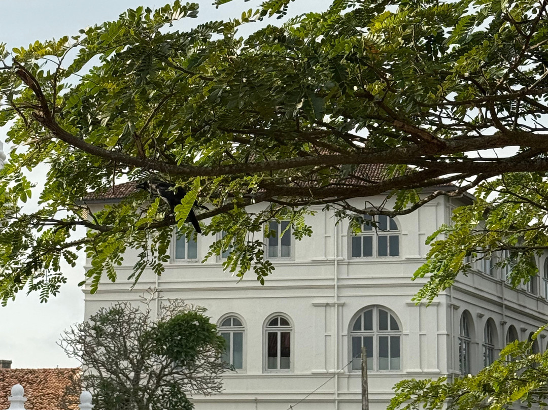 Galle Fort Walks-加勒必去景点