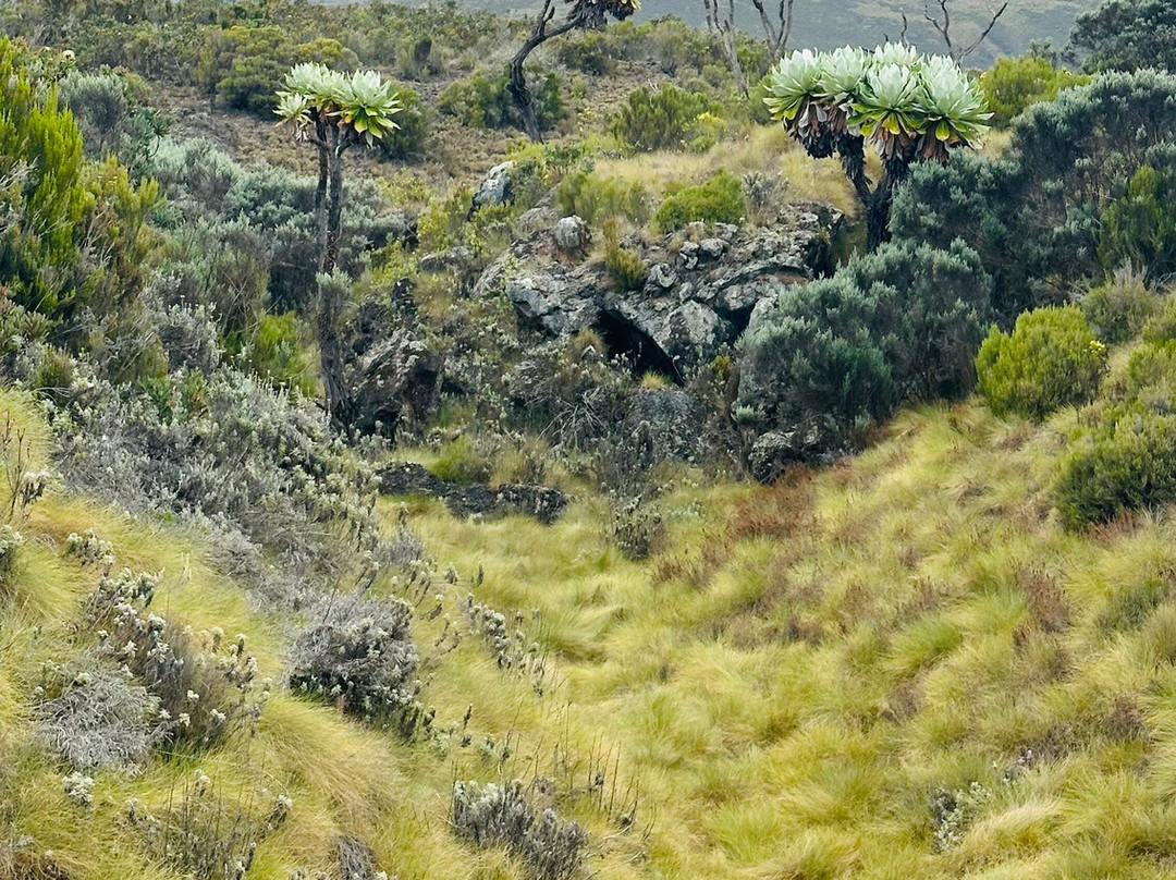 Ahambi Tours-南由基必去景点
