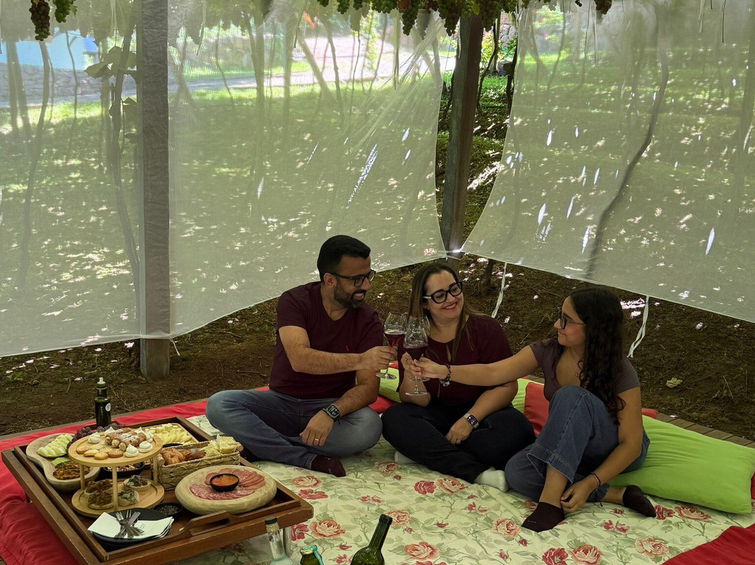 Cristofoli Vinhos de Familia-本图贡萨尔维斯必去景点