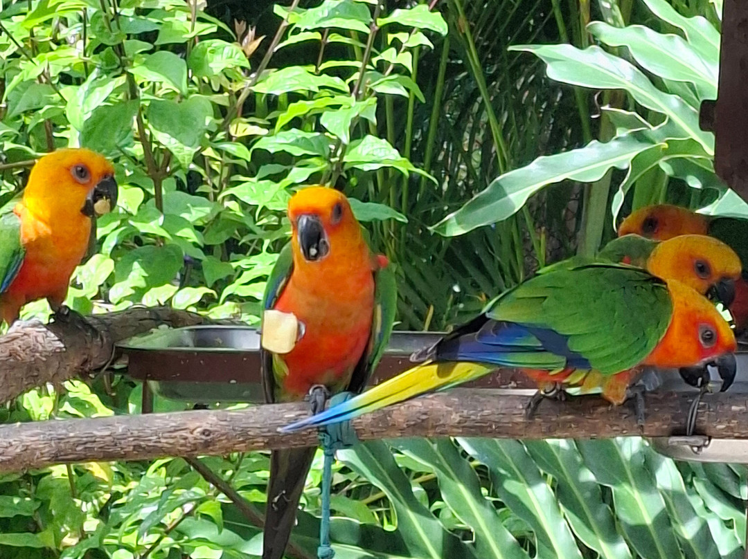 Parque Arvorar-Aquiraz必去景点