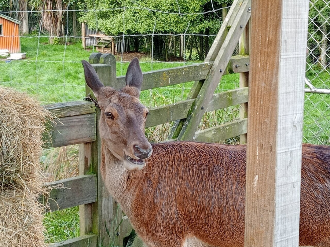 奇异岛汽车旅馆及假日公园酒店主图