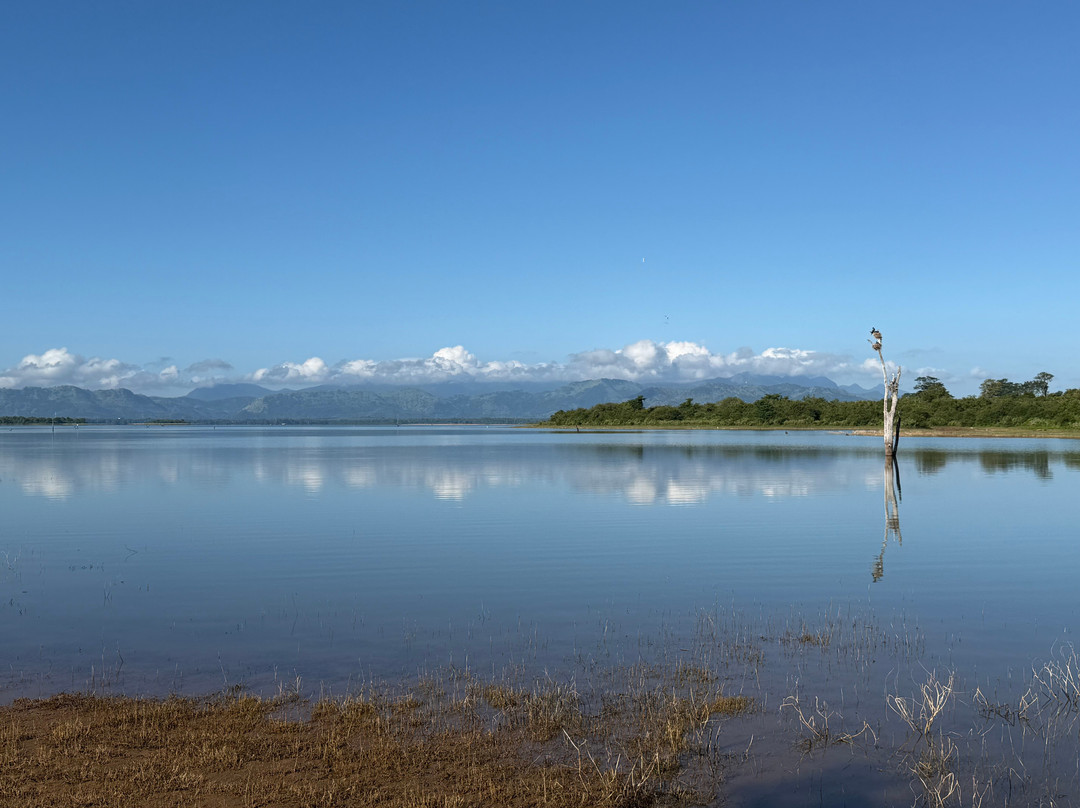 Rangi Tours-瓦都瓦必去景点