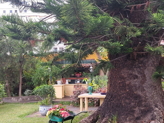 Jardin de Orquideas de Sitio Litre-德拉克鲁兹索尔港必去景点