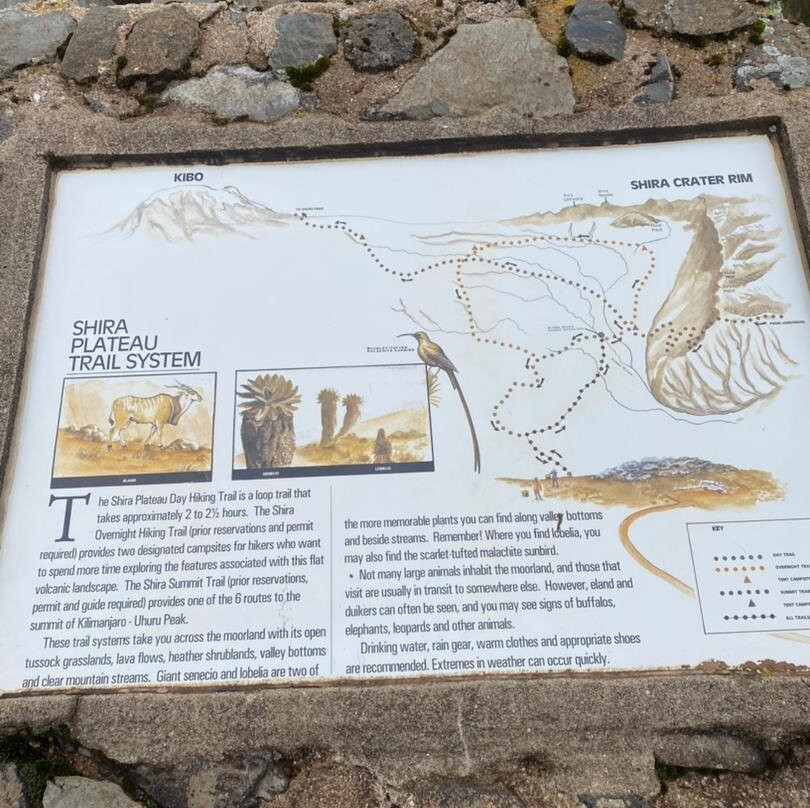 Sere adventure Safari-莫西必去景点