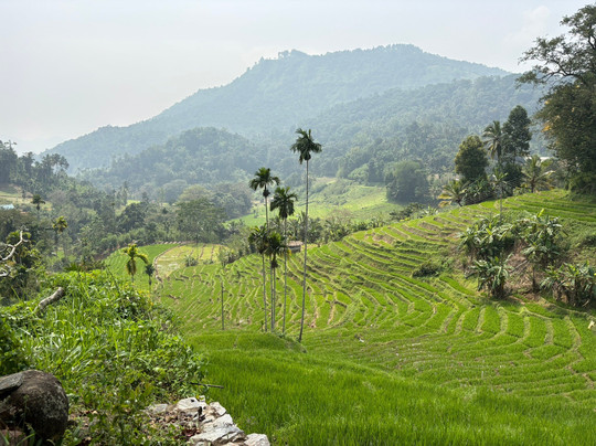 Best of Lanka-科伦坡必去景点