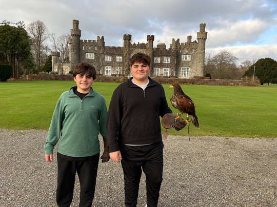 Dublin Falconry-Castleknock必去景点