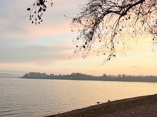 Lungolago di Gavirate-Gavirate必去景点