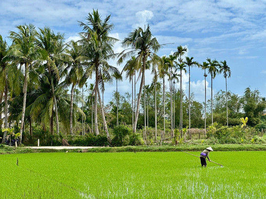 Hoi An Day Trip Company-会安必去景点