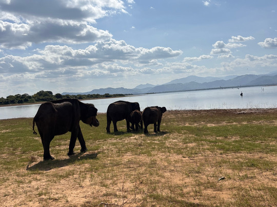Come Visit Sri Lanka-康提必去景点