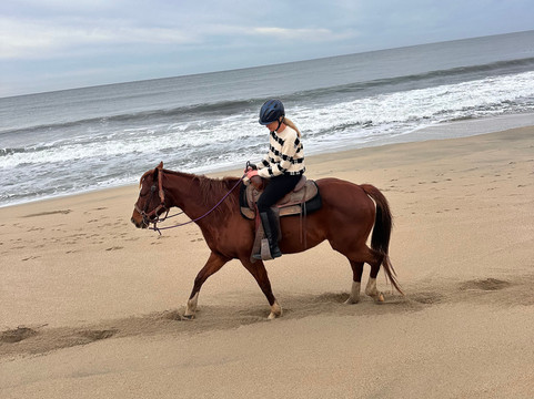 Sea Horse Ranch-半月湾必去景点