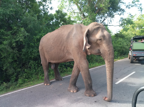 Nadin Travels & Tours-唐卡拉必去景点