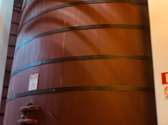 Aurora Winery-本图贡萨尔维斯必去景点