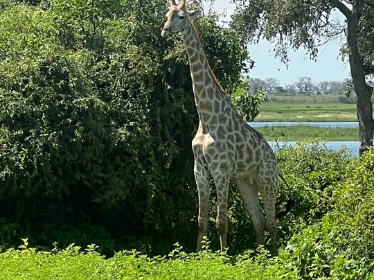 SAFARI.COM-开普敦中心区必去景点