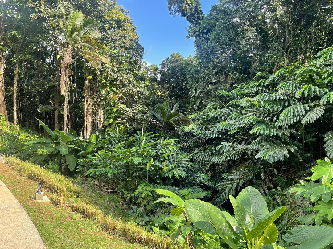 Les Bieres de la Lezarde-Petit-Bourg必去景点