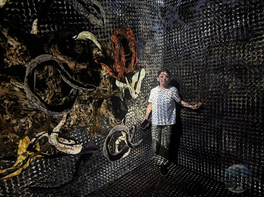 Teamlab Borderless Tokyo-港区必去景点