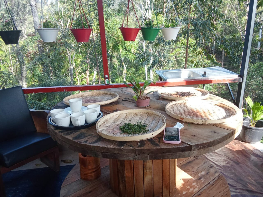 Green Ella Tea Lounge-埃勒必去景点