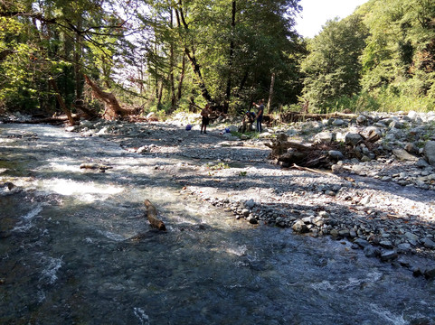 Lagodekhi National Reserve-Lagodekhi必去景点