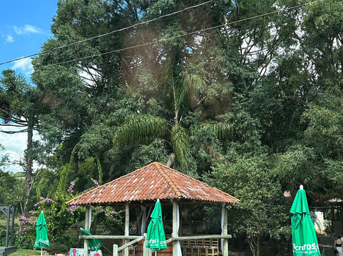 Doces Silber-Otavio Rocha必去景点