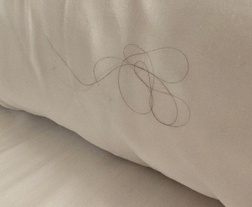 Harrah's Atlantic City Casino-大西洋城必去景点