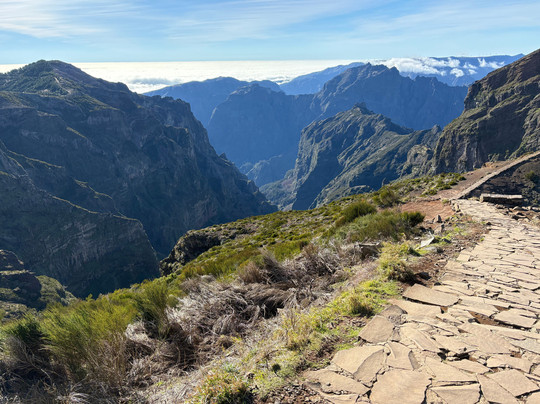 Flora Travel Madeira - Day Tours & Walks-沙尔必去景点