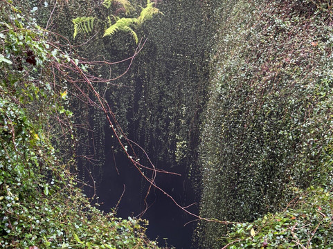 Devil's Den-Williston必去景点