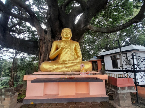 Royal Kandy tours-康提必去景点